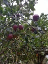 5f7ec080-001f-4108-89d0-d8b241c399af.webp