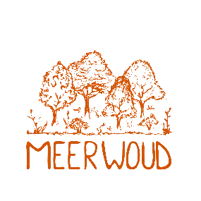 Meerwoud